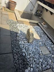 Carpmael Road (D15), Terrace #581303671